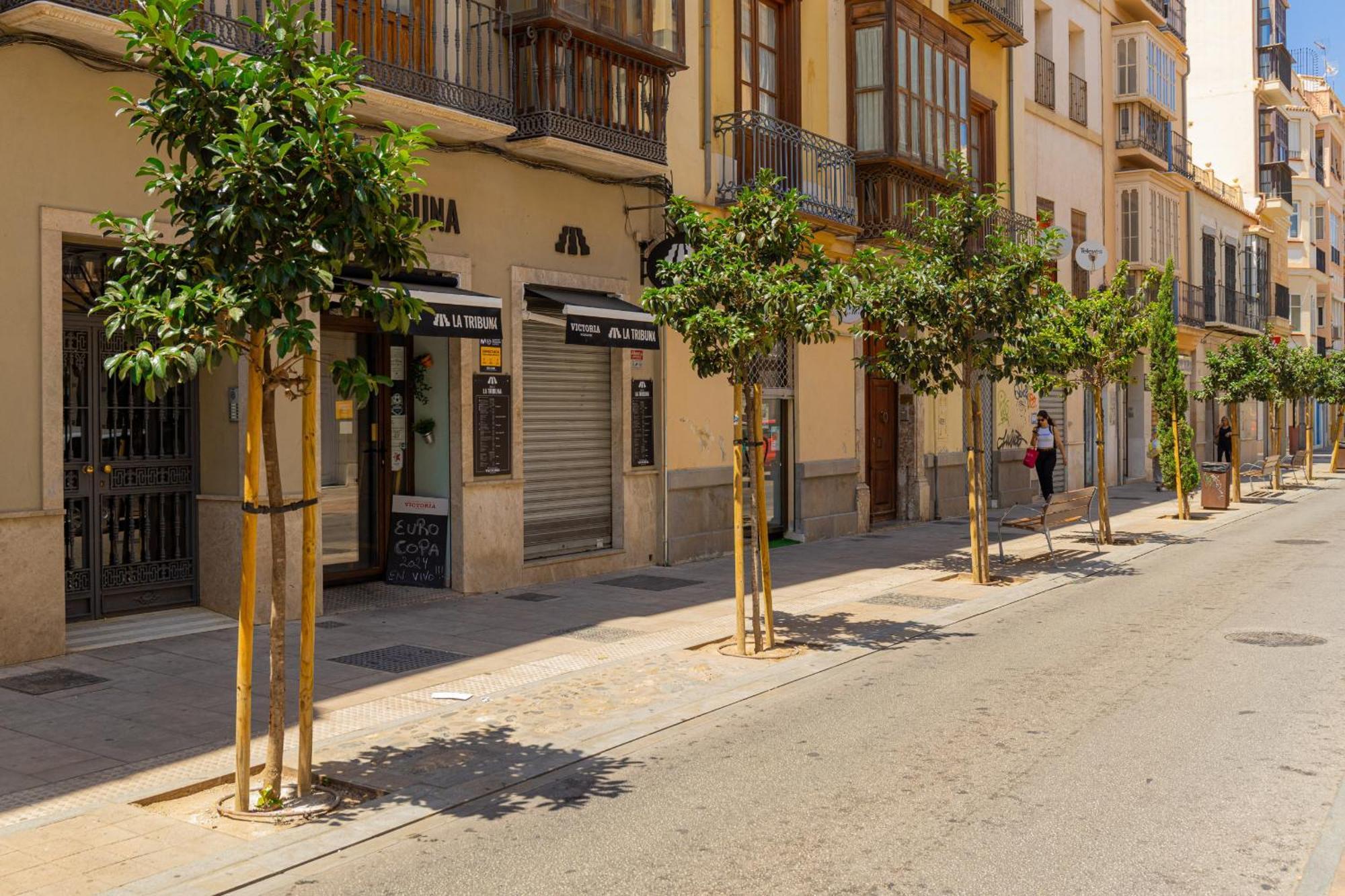 Appartement C103 - Sunny Terrace, Old Town Views à Málaga Extérieur photo